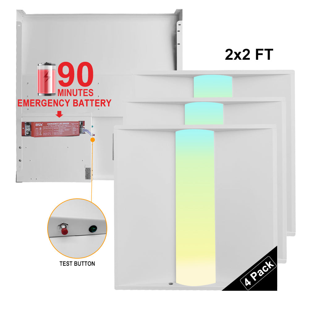 Essenvolt Lighting 2x2FT LED Troffer Light