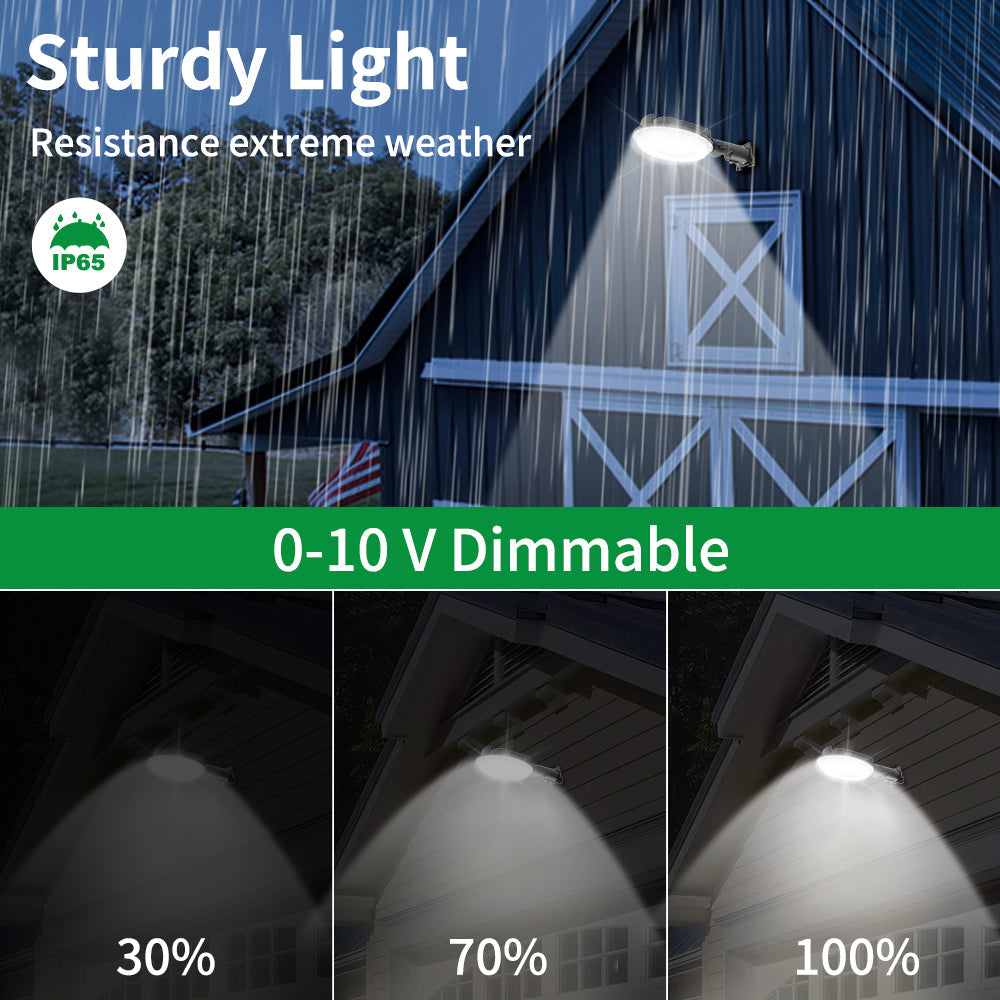 Essenvolt Lighting LED Barn Light