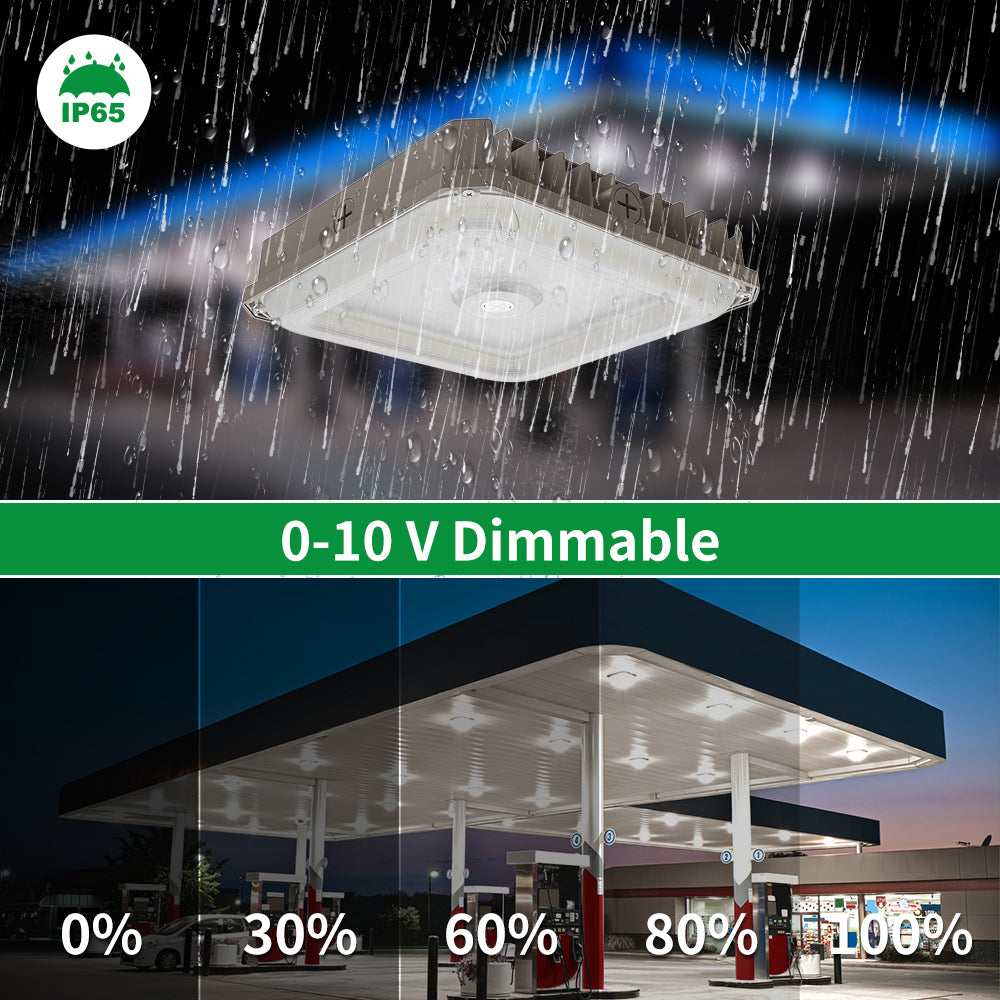 Essenvolt Lighting LED Canopy Light