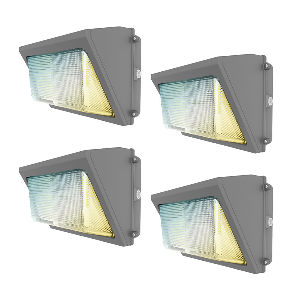 Essenvolt Lighting LED Wall Pack Light