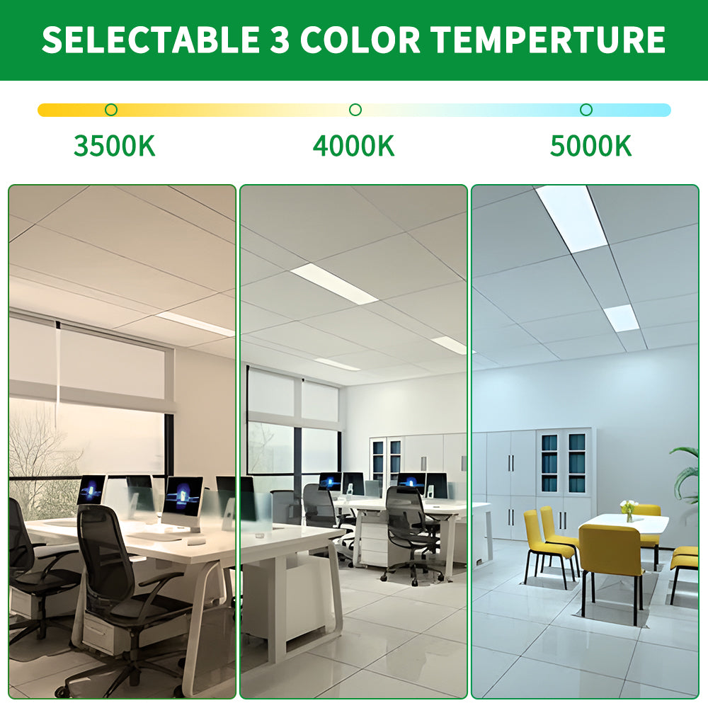 Essenvolt Lighting 1x4FT LED Panel Light