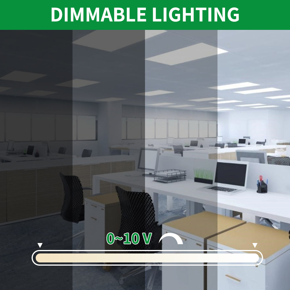 Essenvolt Lighting 2x4FT LED Panel Light