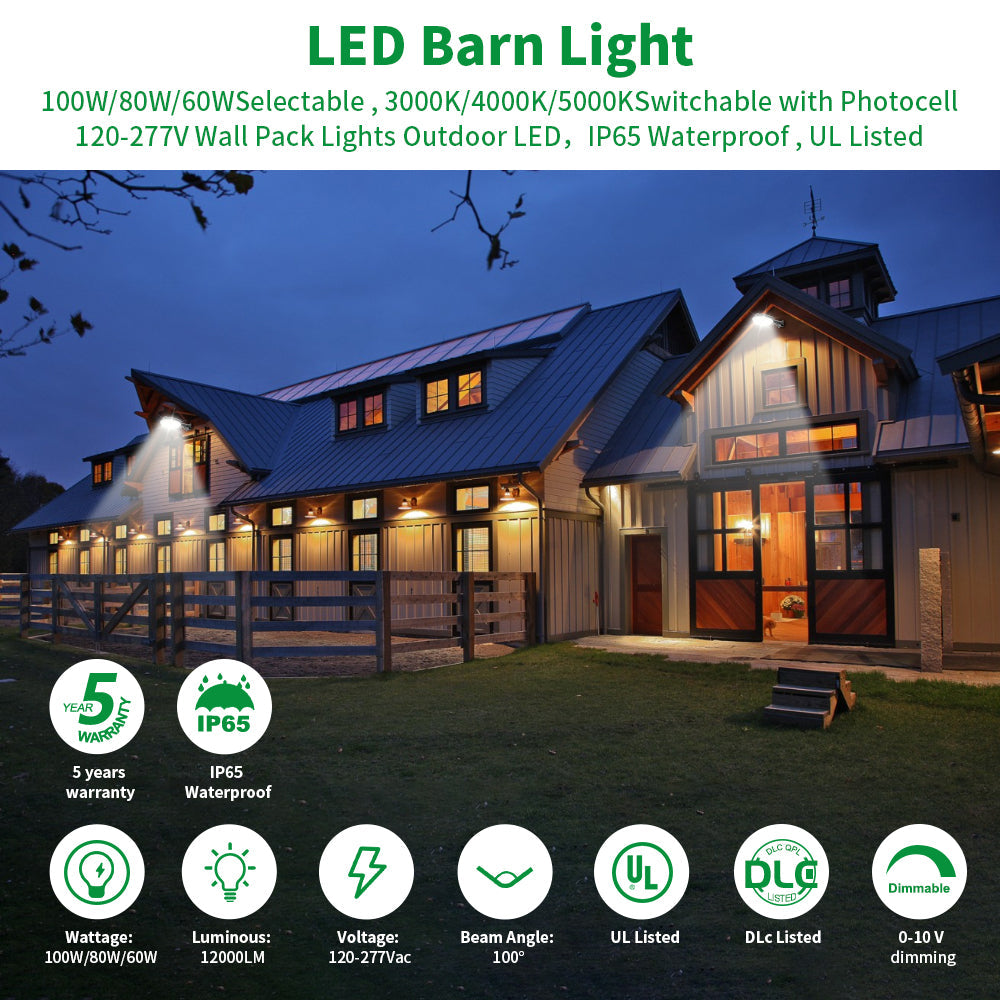 Essenvolt Lighting LED Barn Light