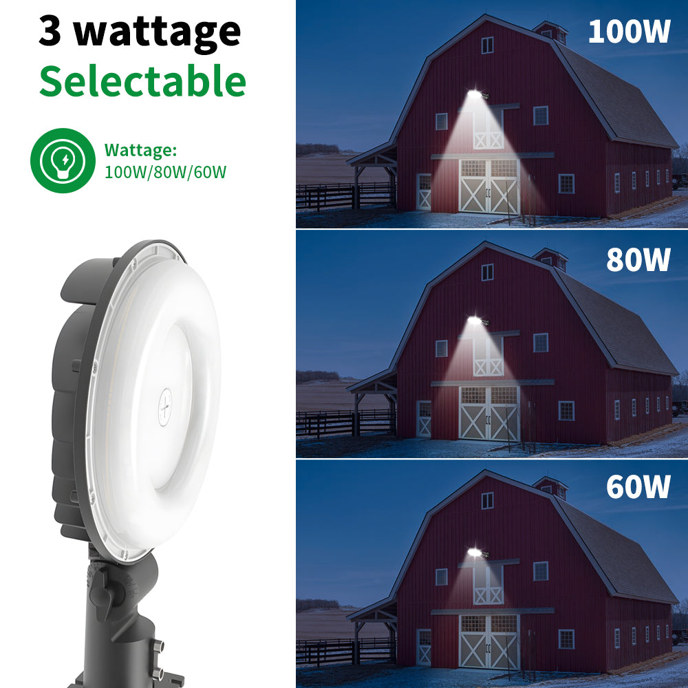 Essenvolt Lighting LED Barn Light