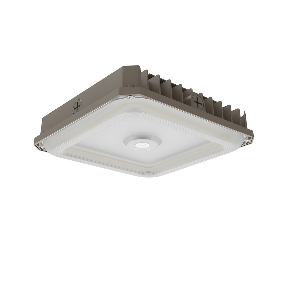 Essenvolt Lighting LED Canopy Light