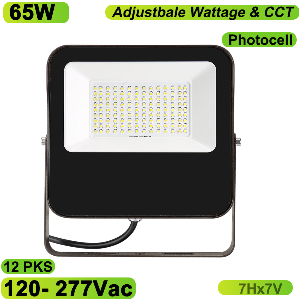 Essenvolt Lighting LED Flood Light