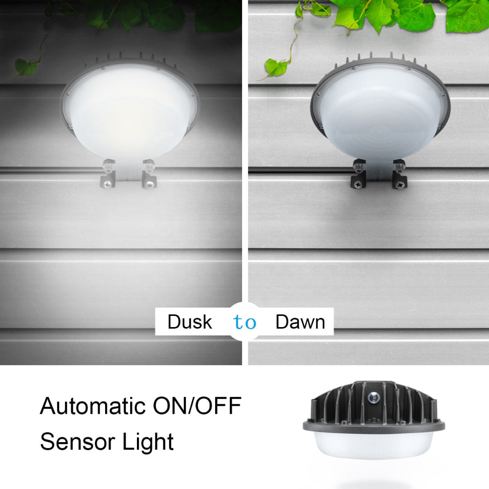 Essenvolt Lighting LED Barn Light