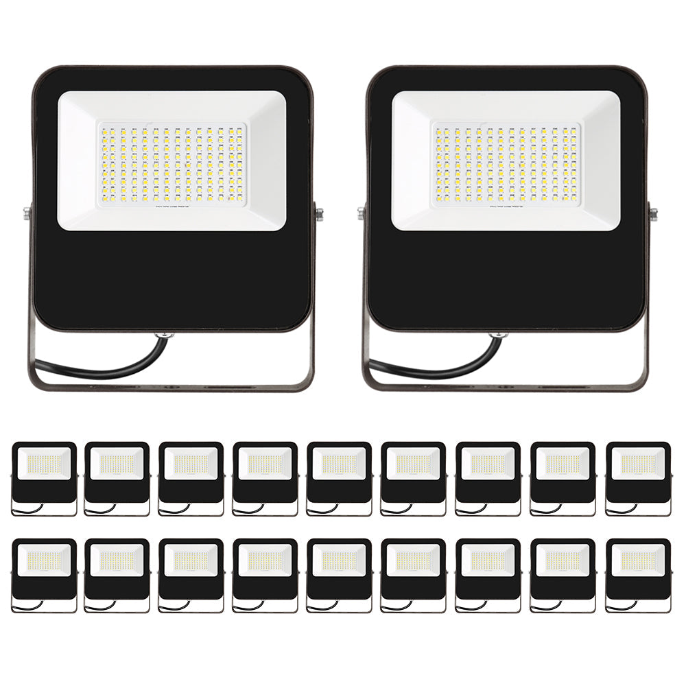 Essenvolt Lighting LED Flood Light