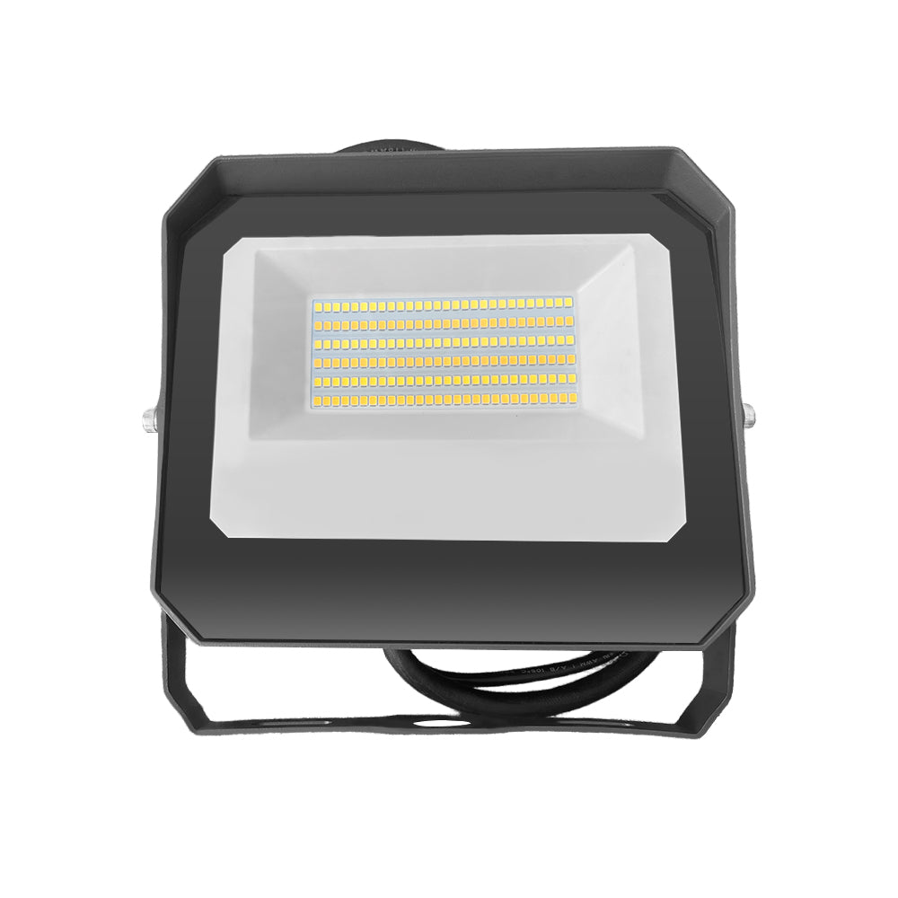 Essenvolt Lighting LED Flood Light