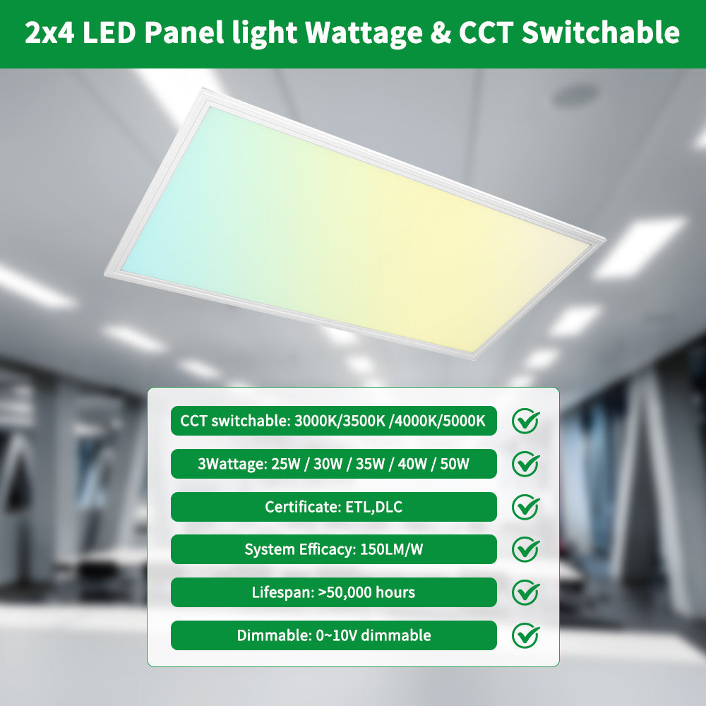 Essenvolt Lighting 2x4FT LED Panel Light