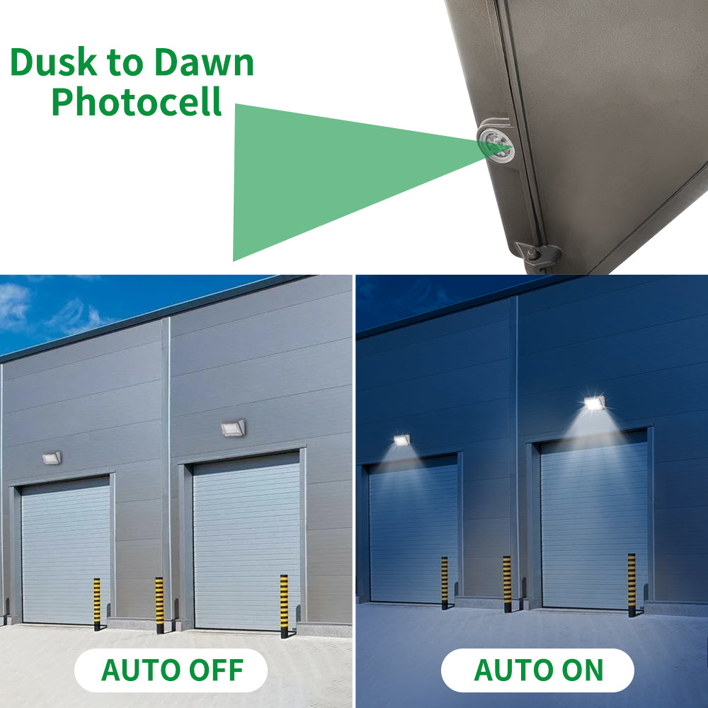 Essenvolt Lighting LED Wall Pack Light