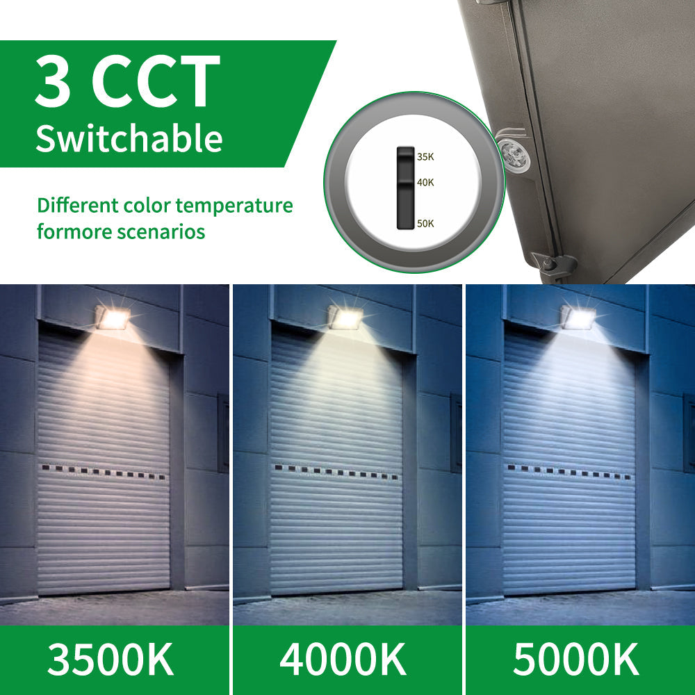 Essenvolt Lighting LED Wall Pack Light
